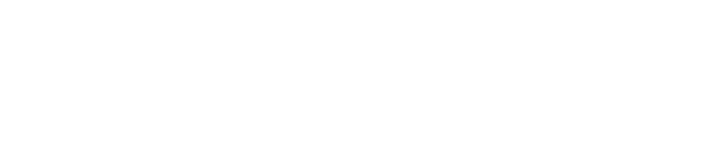 INSTITUTE FOR ECONOMIC RESEARCH AND POLICY CONSULTING