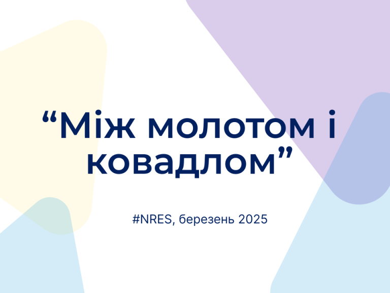Нове щомісячне опитування підприємств №35, березень 2025 (скорочено)