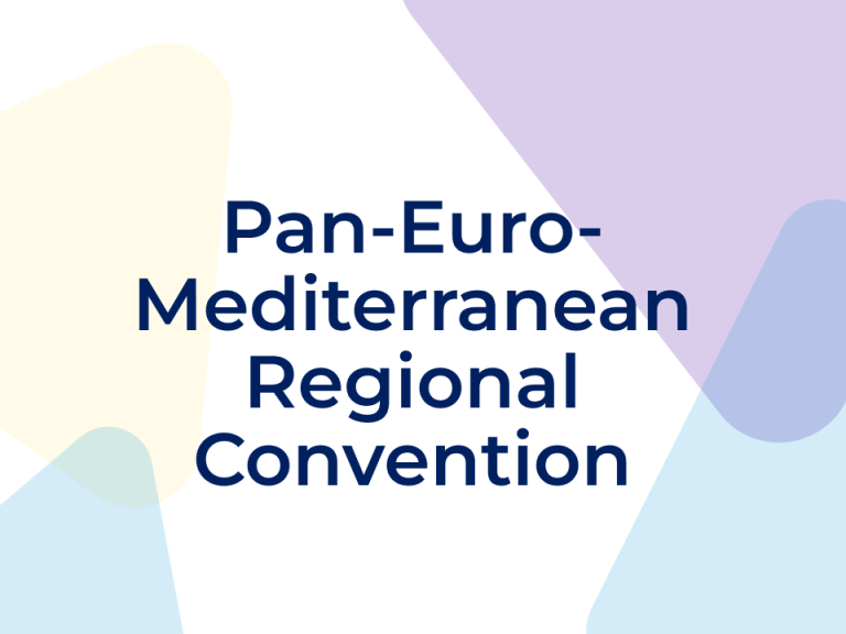 Pan-Euro-Mediterranean Regional Convention: current impact and potential