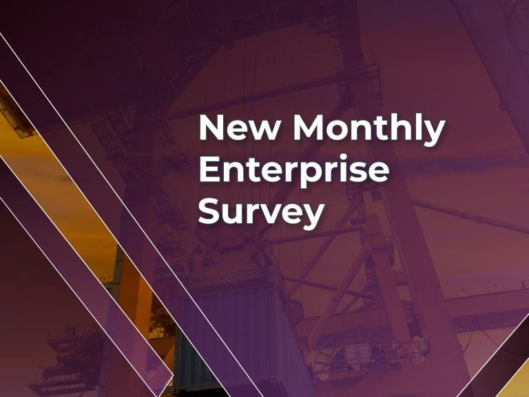 New Monthly Enterprises Survey №50, June 2026