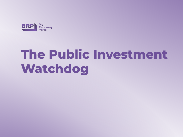 The Public Investment Watchdog №6, July 2026